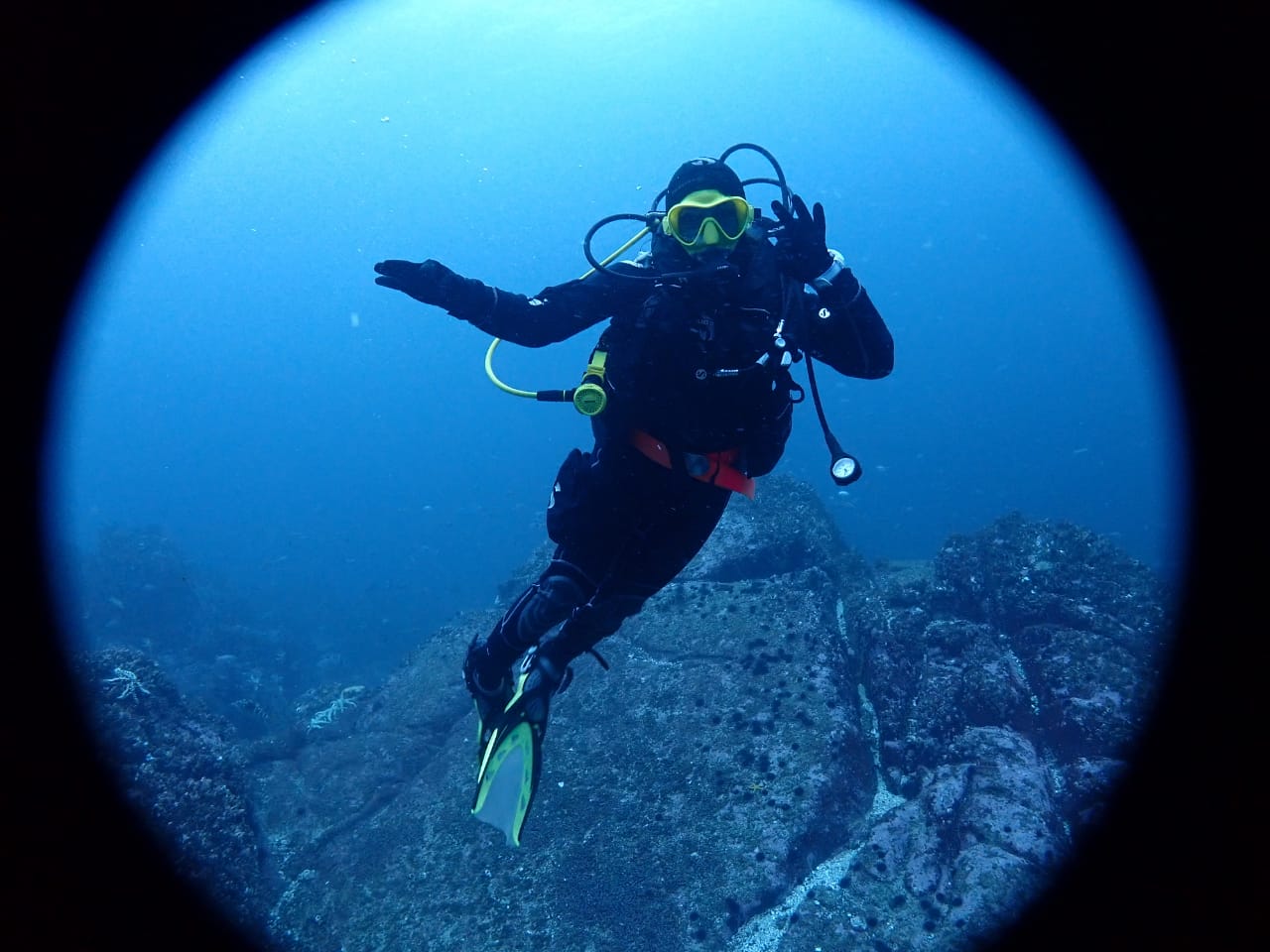 En la Región de Coquimbo: Desarrollan investigación científica de mar a cordillera para proyectar el cambio climático