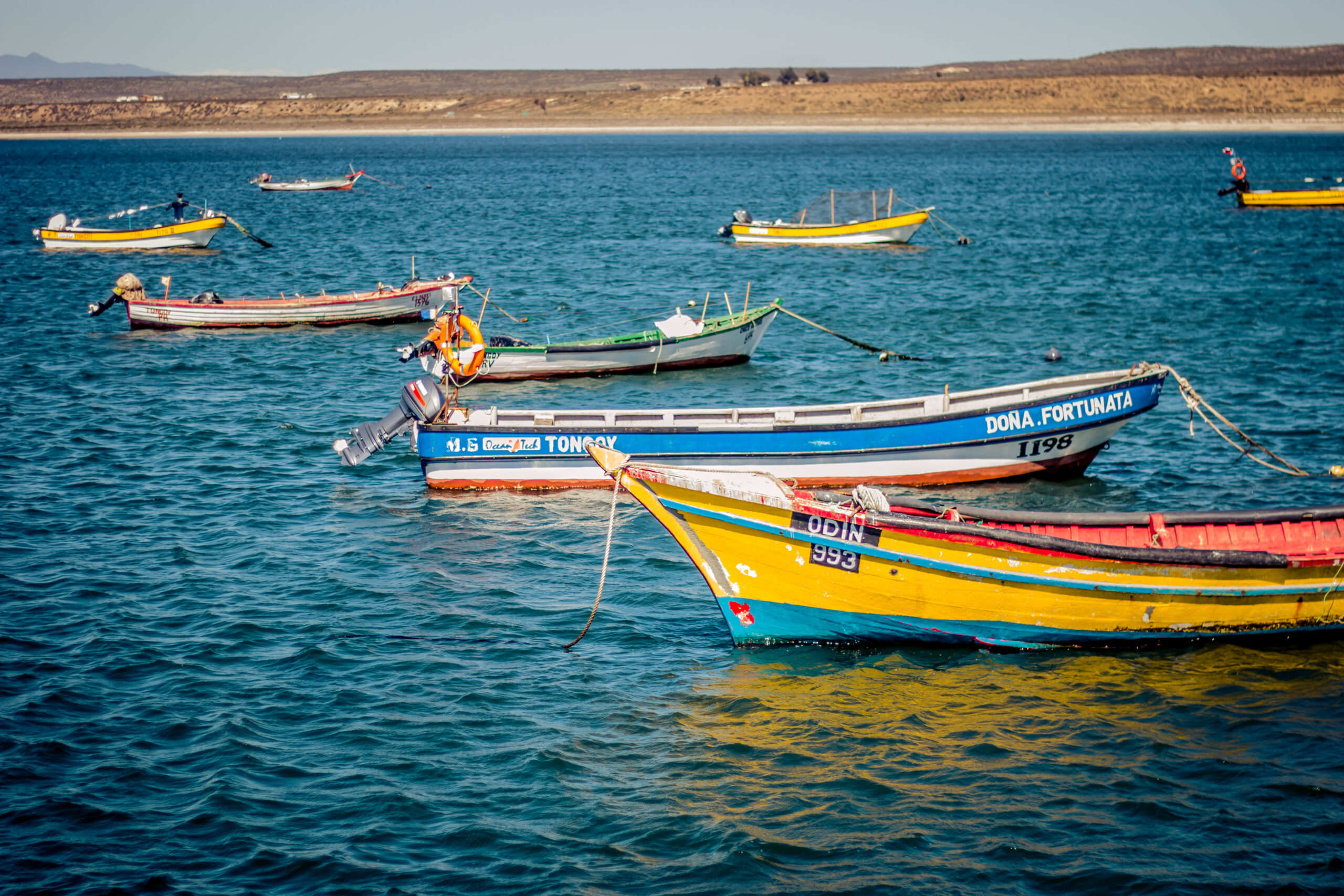 Centro Científico CEAZA plantea la necesidad de avanzar en sistema de monitoreo de “marea roja” para proteger a la pesca y acuicultura
